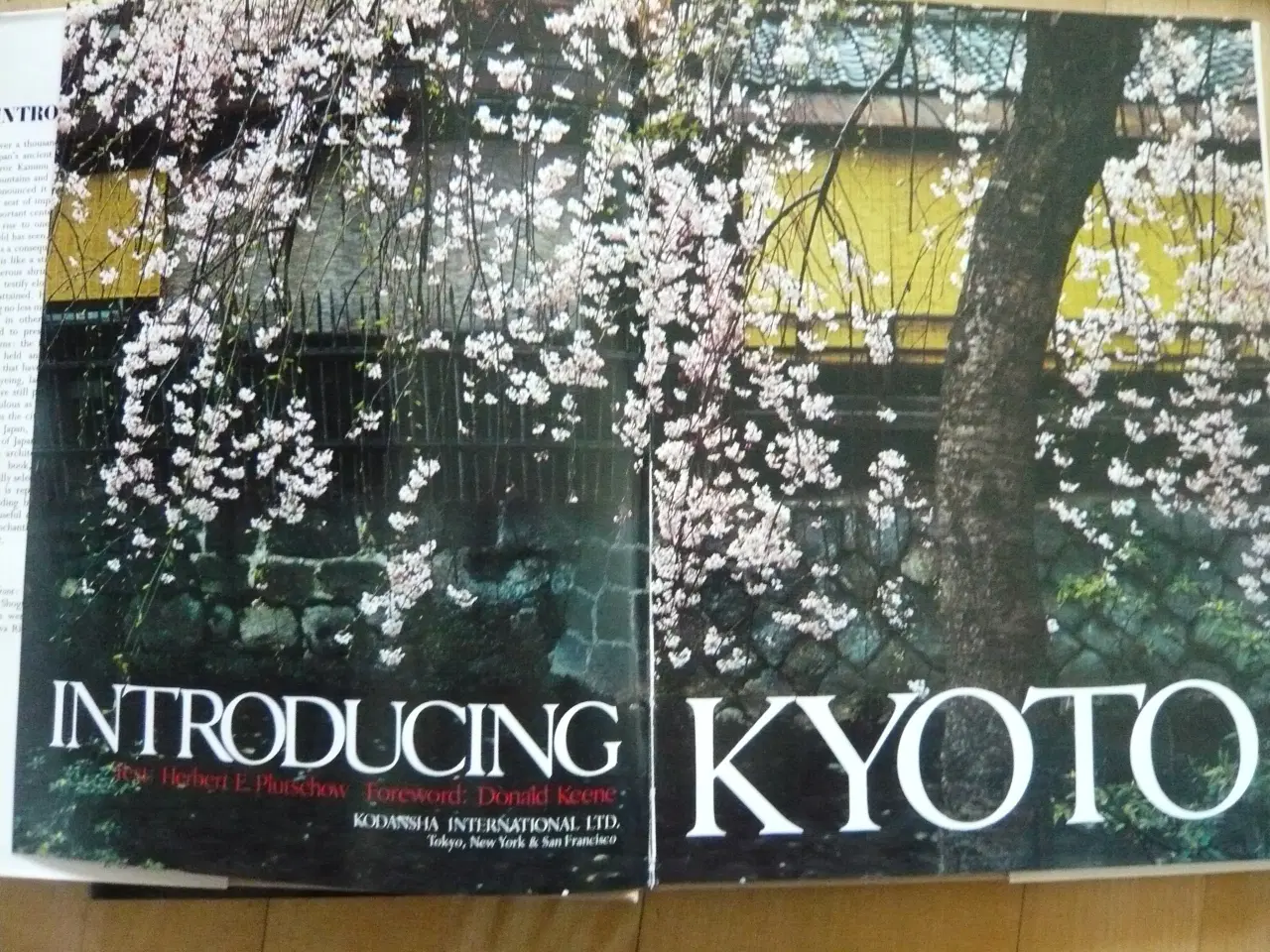 Billede 2 - Introducing Kyoto af Herbert E. Plutschow