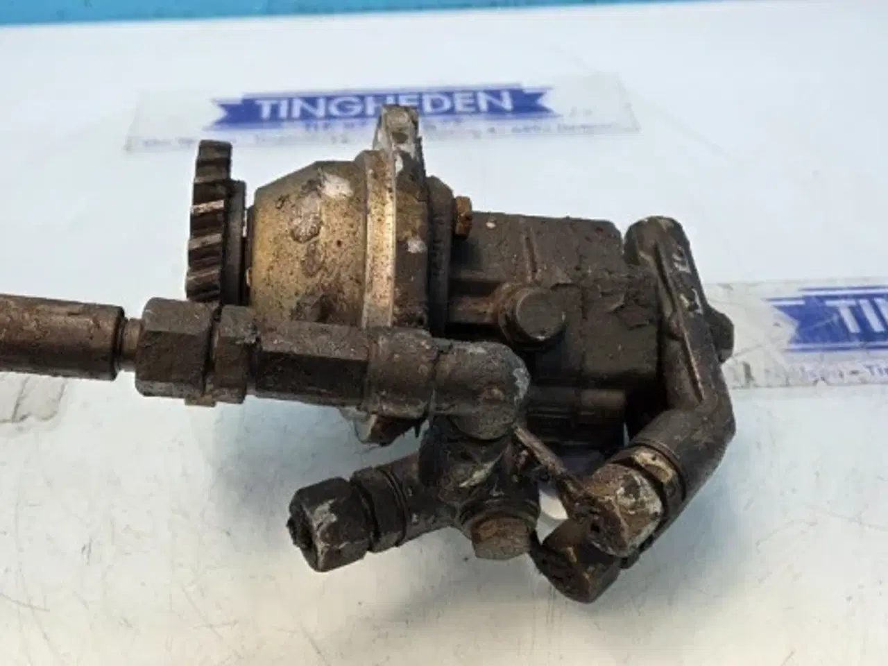 Billede 6 - Iveco Cursor 13 Brændstofpumpe 504040201