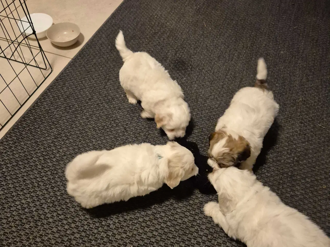 Billede 8 - Bomulds basse 🥰 "Blue"