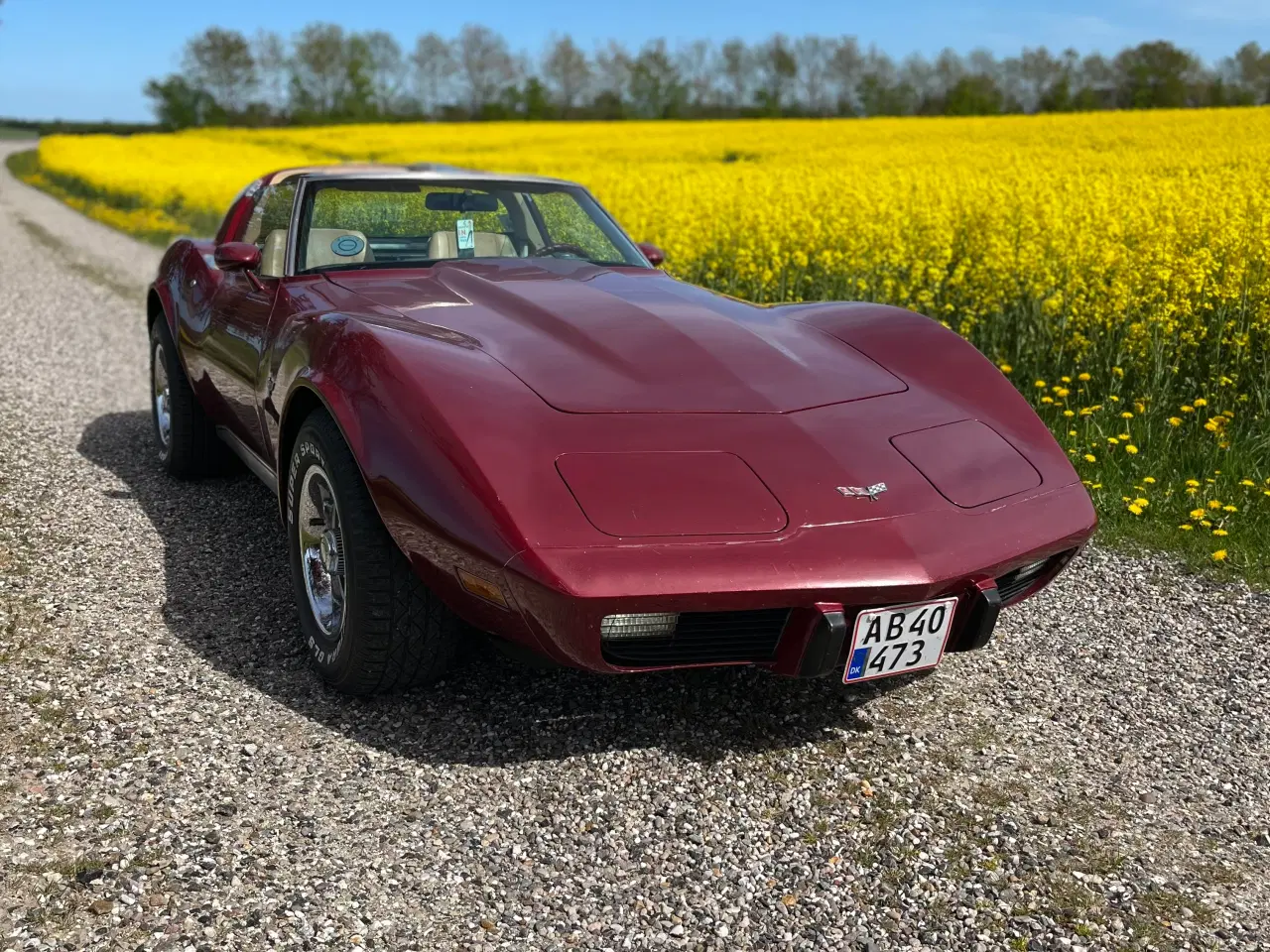 Billede 1 - Chervolet Corvette C3 Stingray 1978 5,7 V8 350  