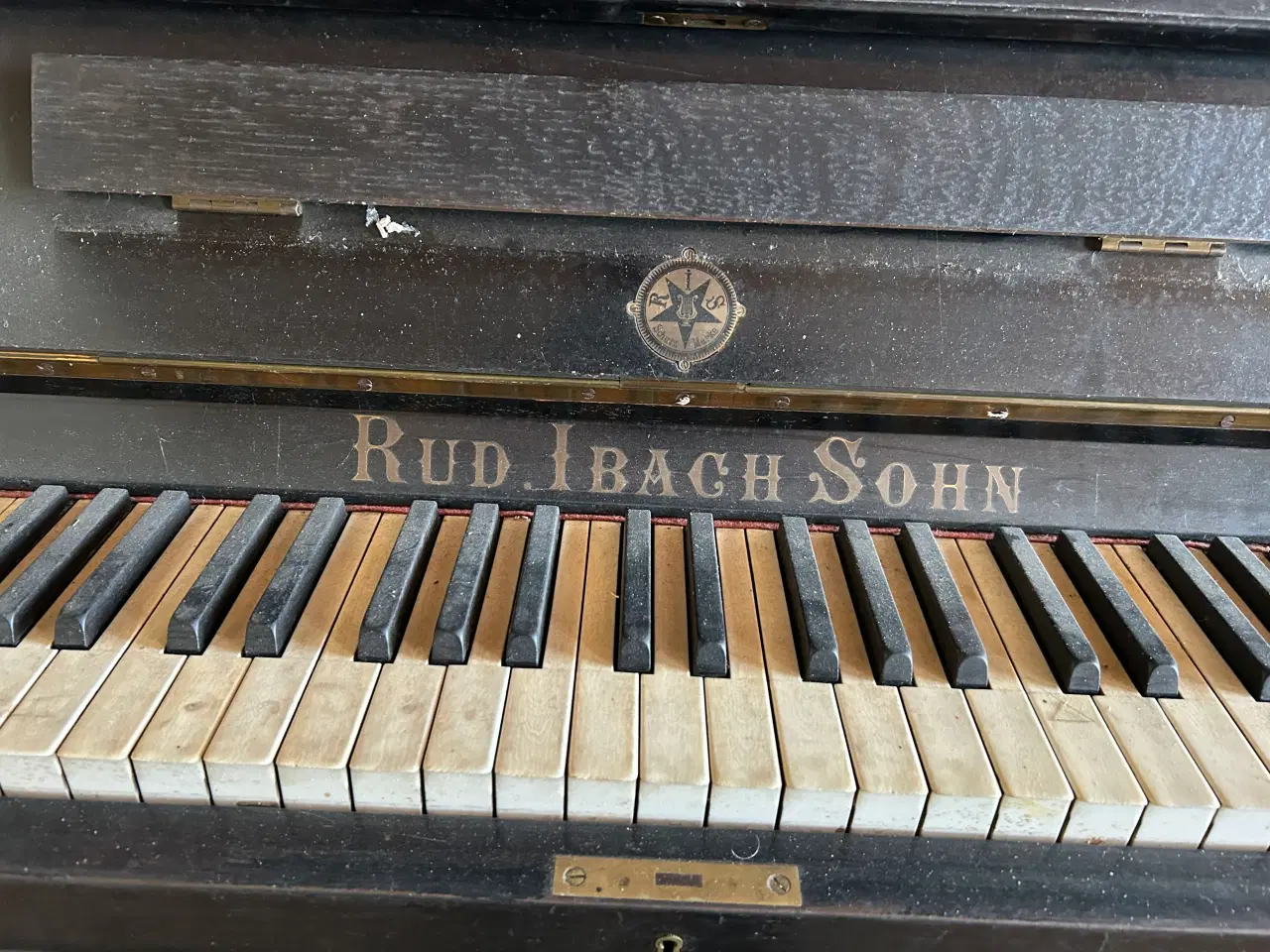 Billede 2 - Klaver