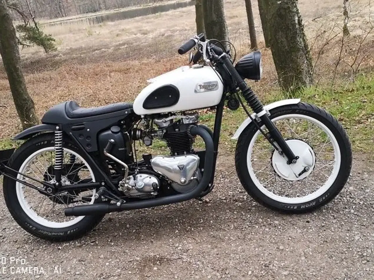 Billede 13 - Triumph