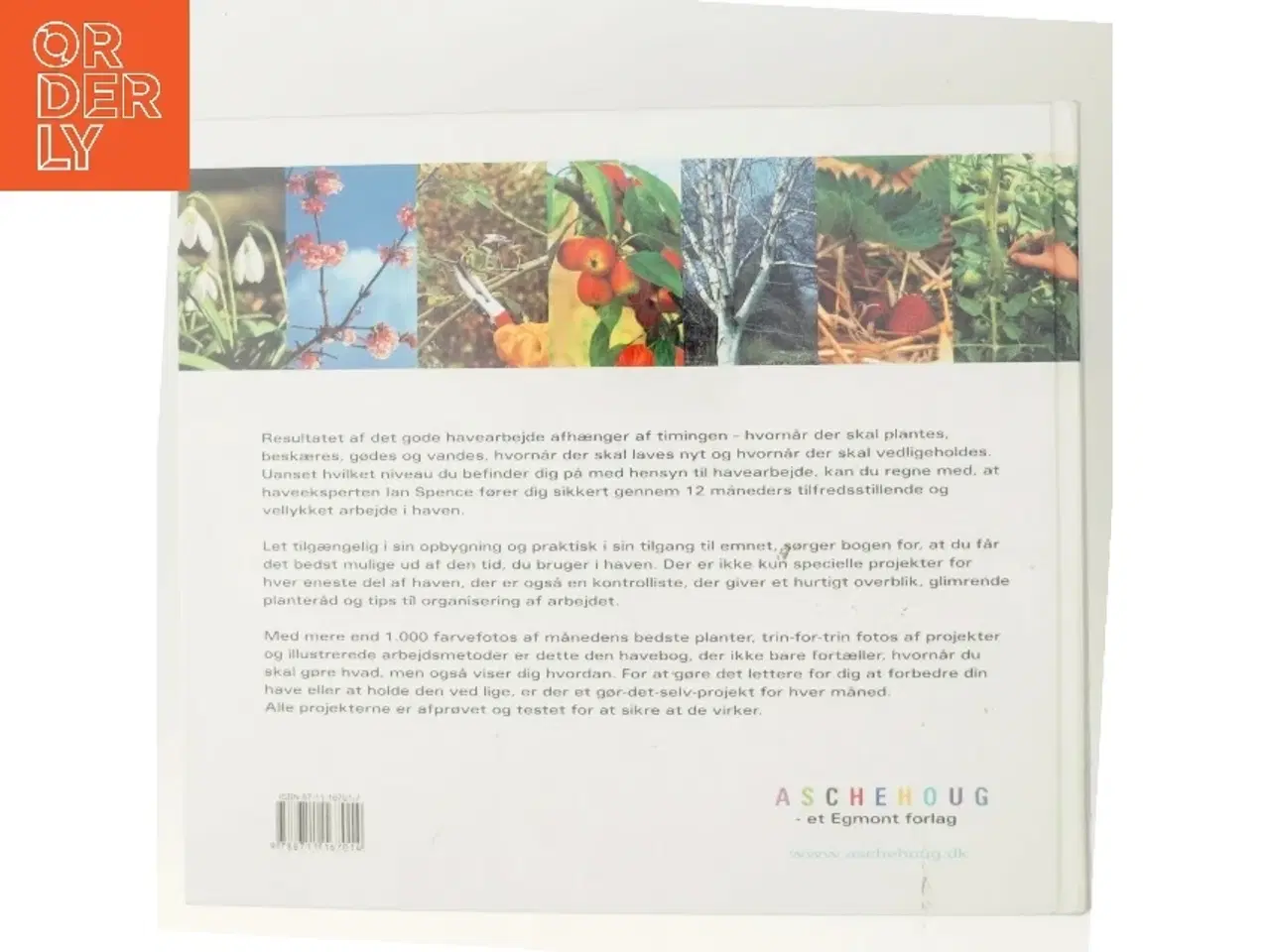 Billede 3 - Haven hele året af Ian Spence (Bog)