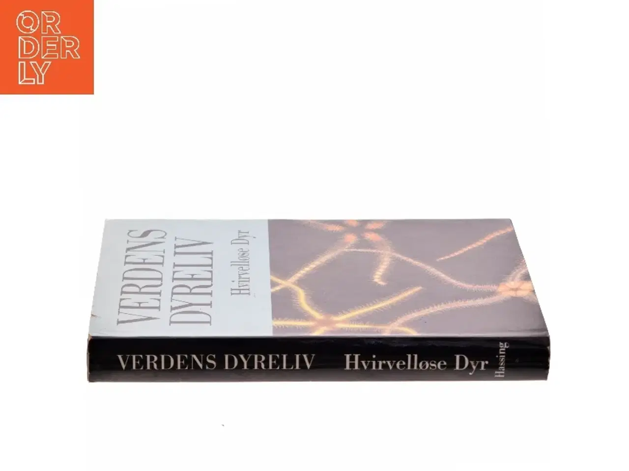 Billede 2 - Verdens Dyreliv: Hvirvelløse Dyr af <Bog ikke noget forfatter angivet< (Bog)