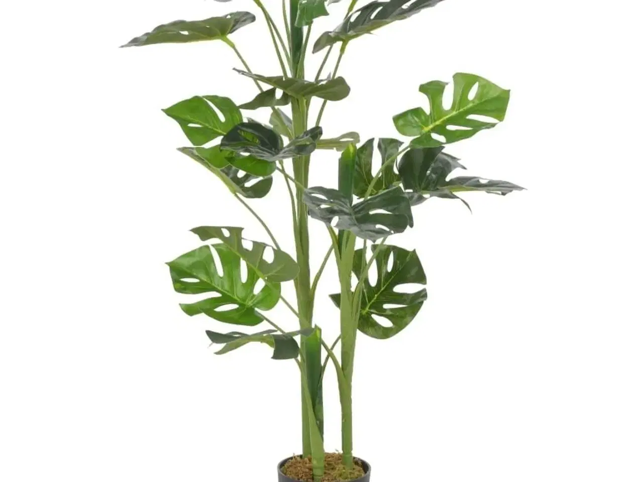 Billede 1 - Kunstig plante monstera med krukke 100 cm grøn