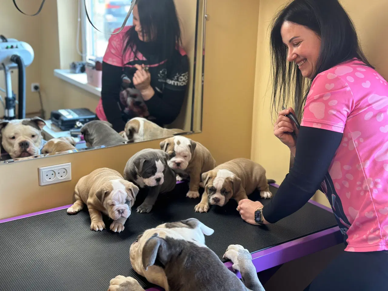 Billede 2 - Old English Bulldog 