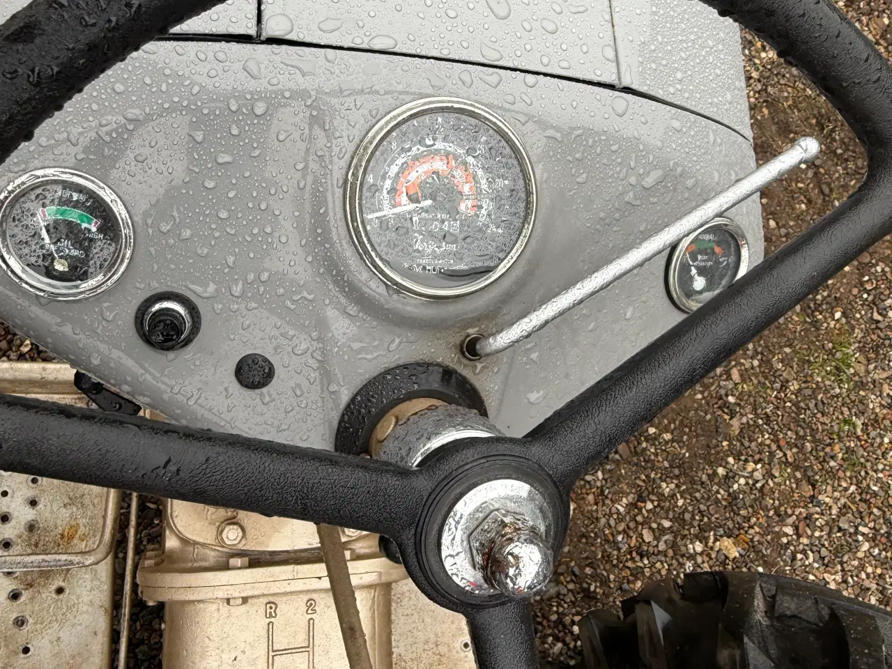 Billede 6 - Ferguson guldfugl