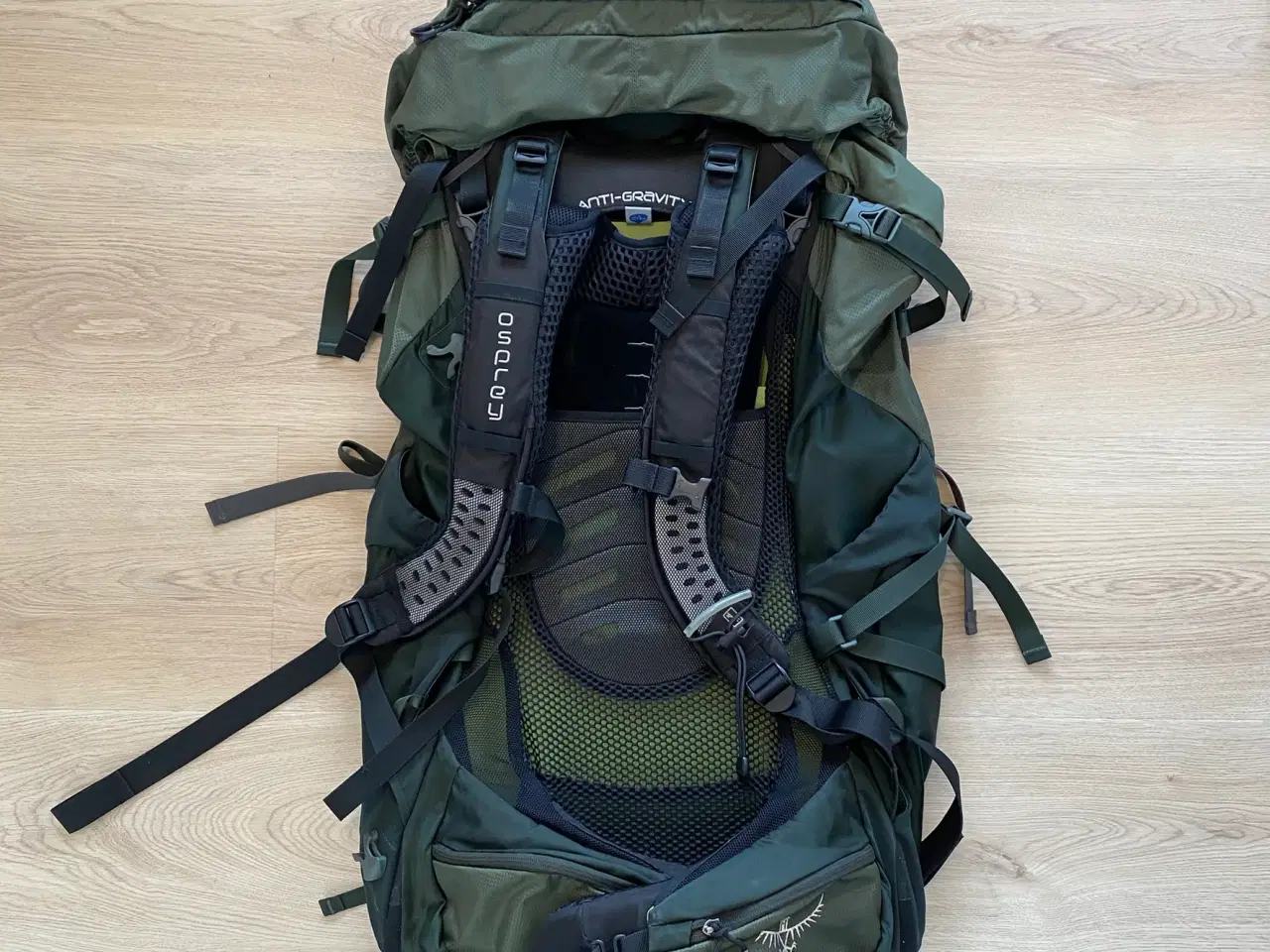 Billede 2 - Osprey Aether AG 70 Liter Rygsæk - Grøn - Herre