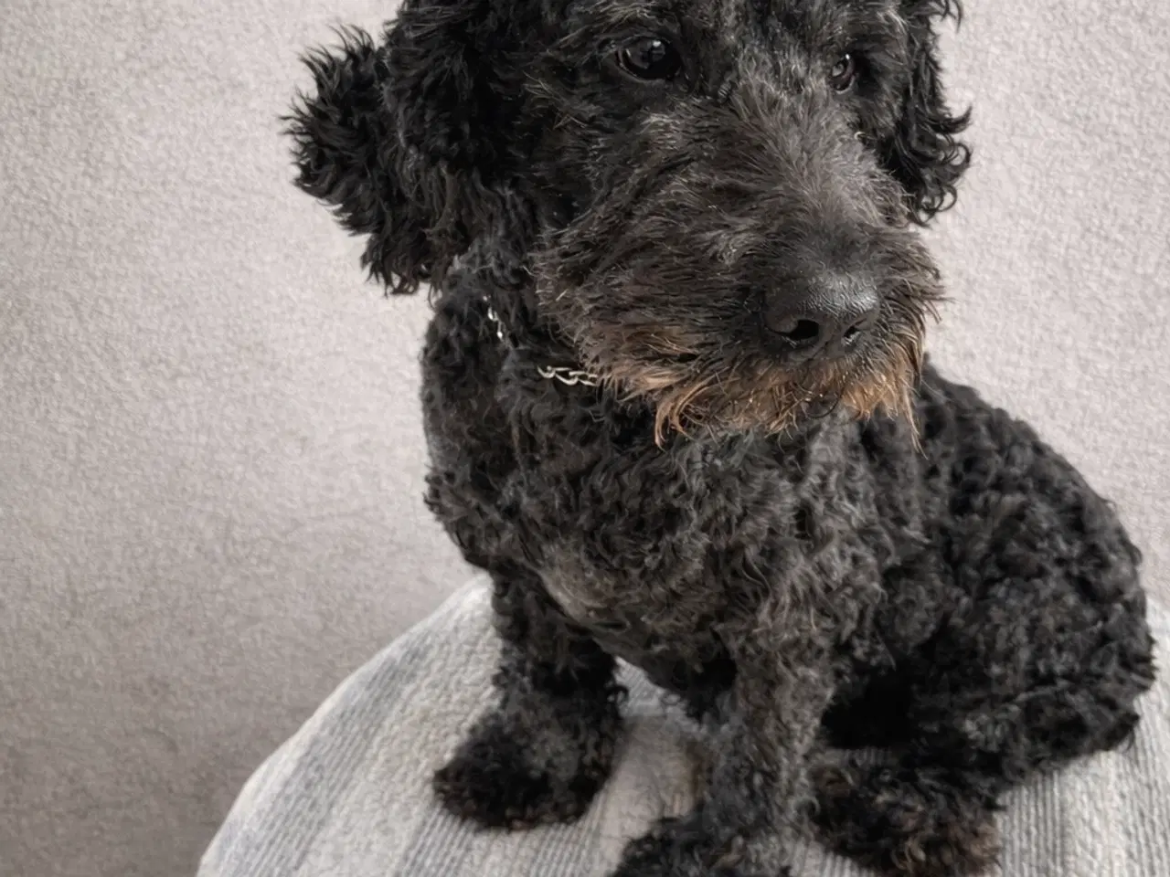 Billede 1 - Udstationering 