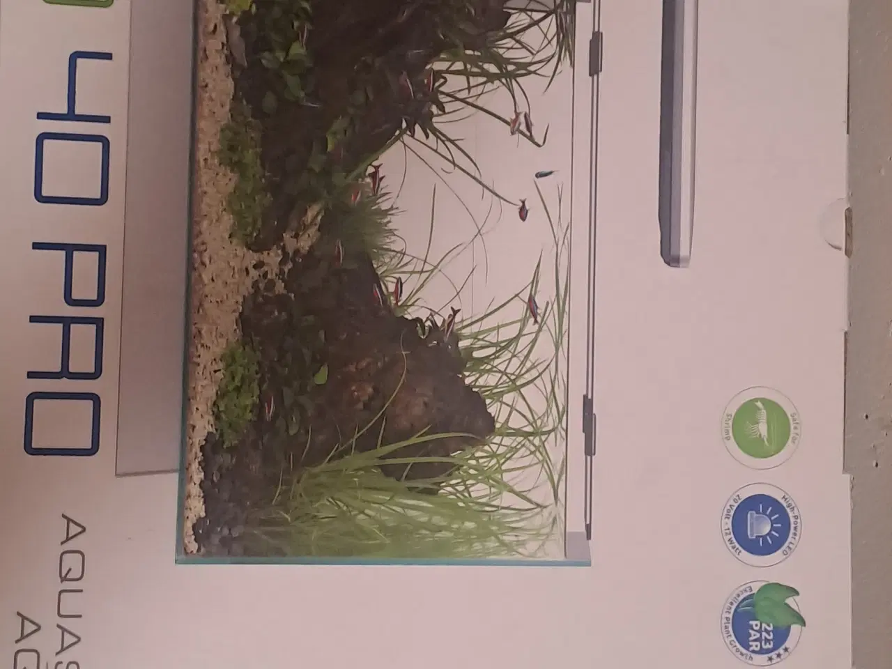 Billede 2 - Akvarium 40 litter