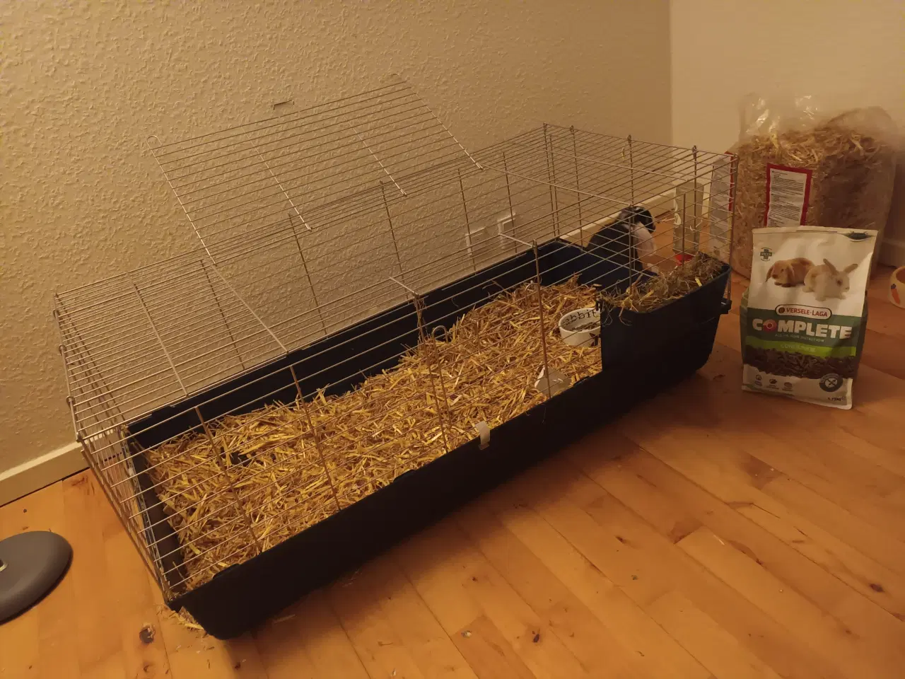 Billede 3 - Ung hunkanin sælges med bur