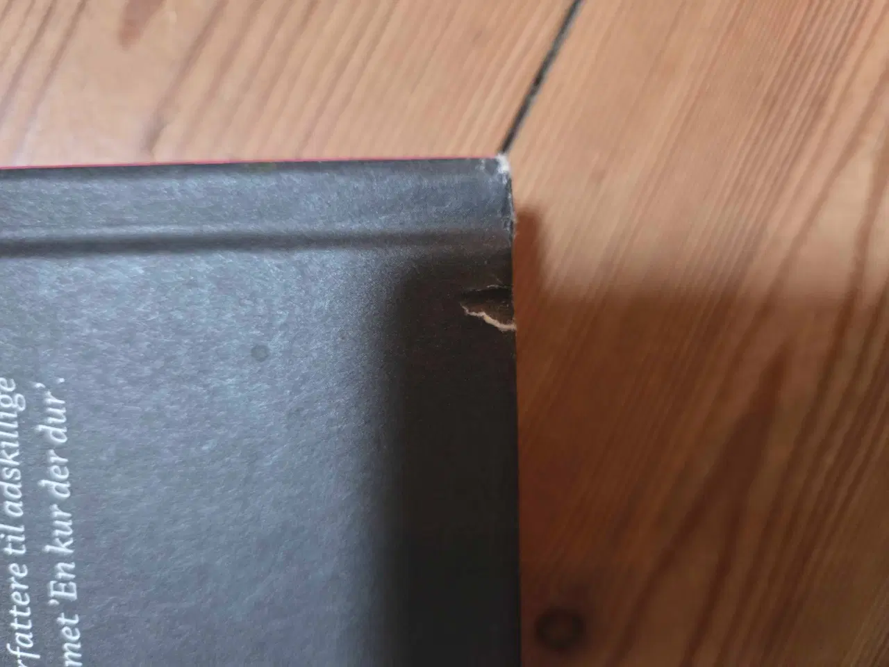 Billede 5 - 21 dage med Antiinflamatorisk kost