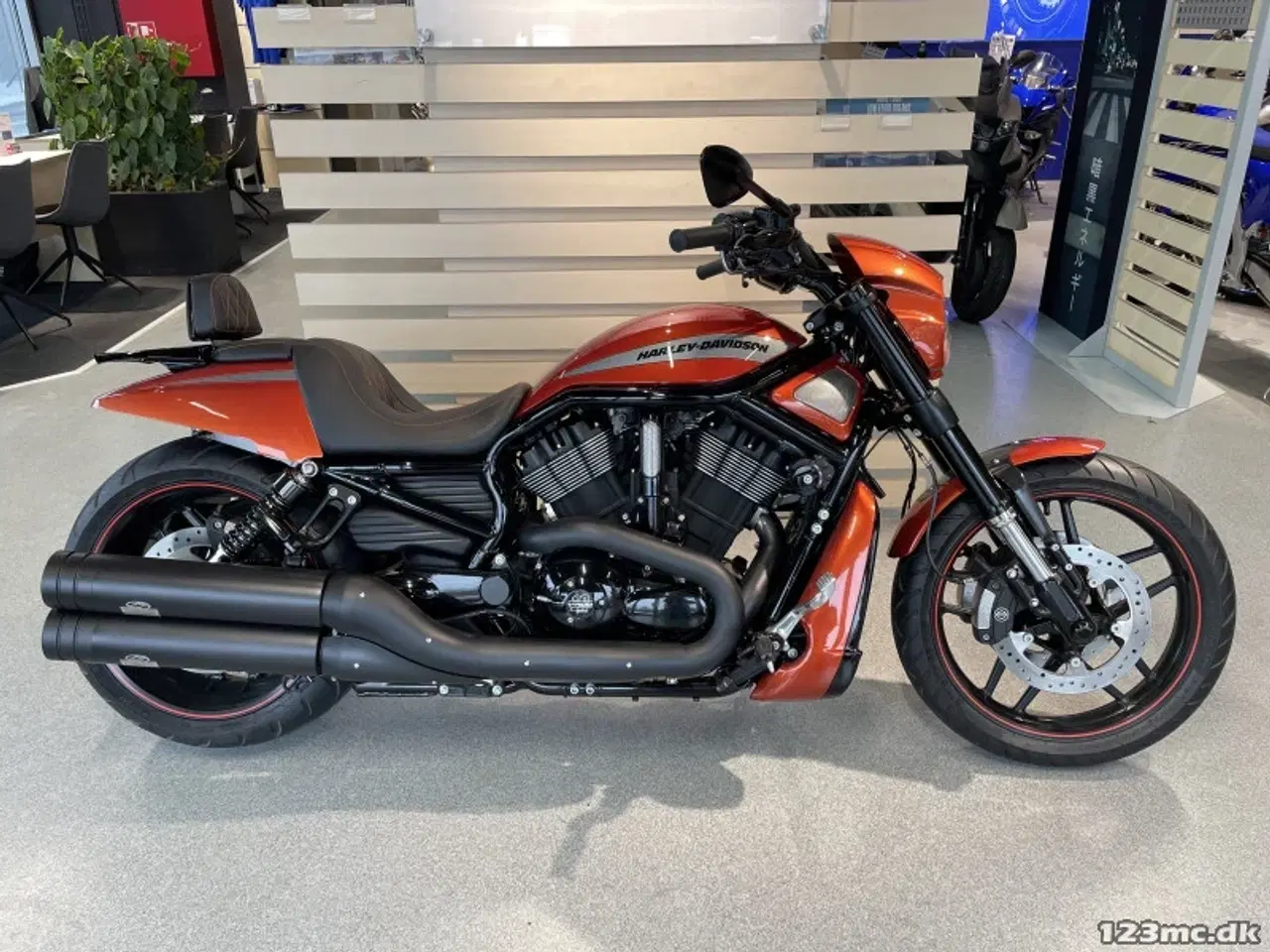 Billede 3 - Harley-Davidson VRSCDX Night Rod Special