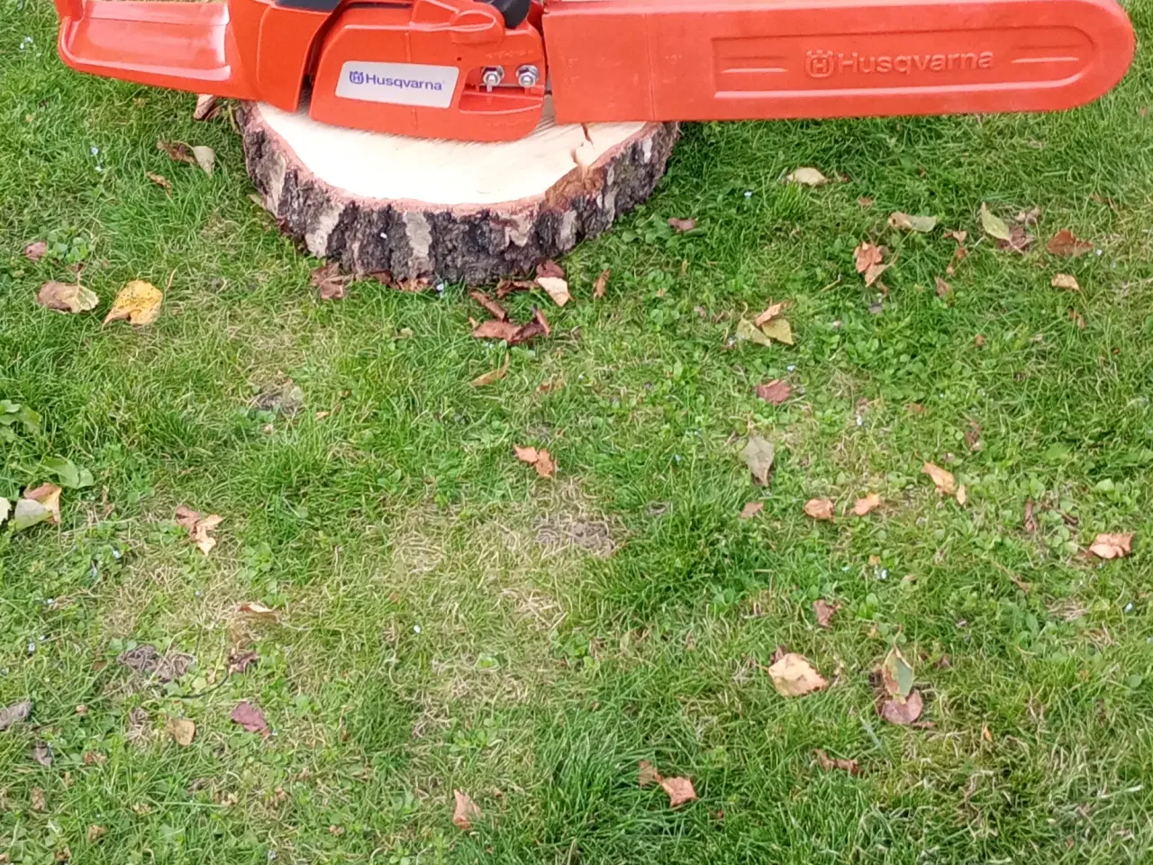 Billede 3 - Husqvarna 236 xpg