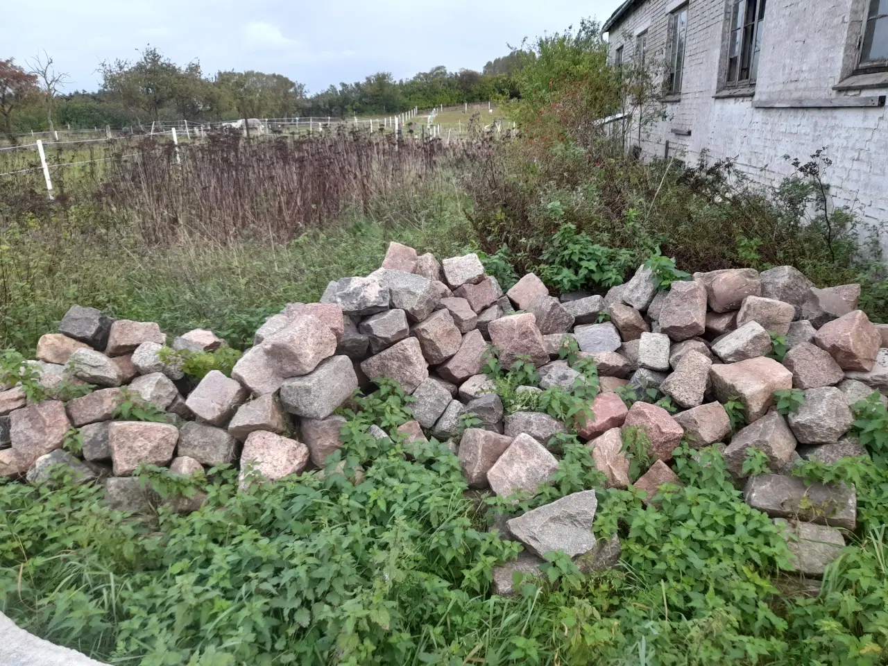 Billede 1 - 200 år gamle hånd huggede brosten.