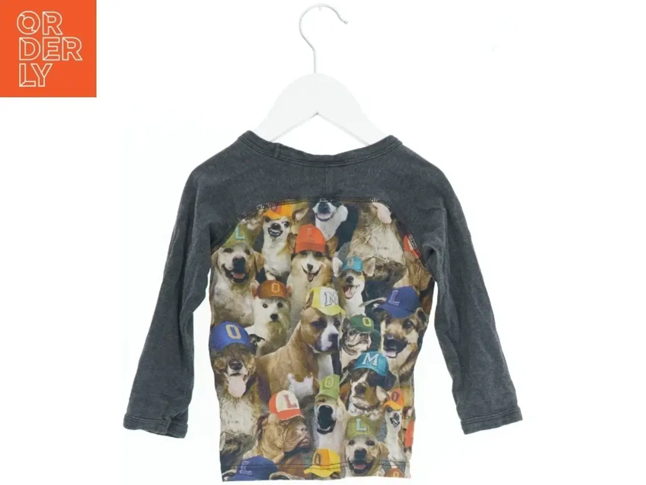 Billede 2 - Langærmet trøje med hundemotiv fra Molo (str. 92)