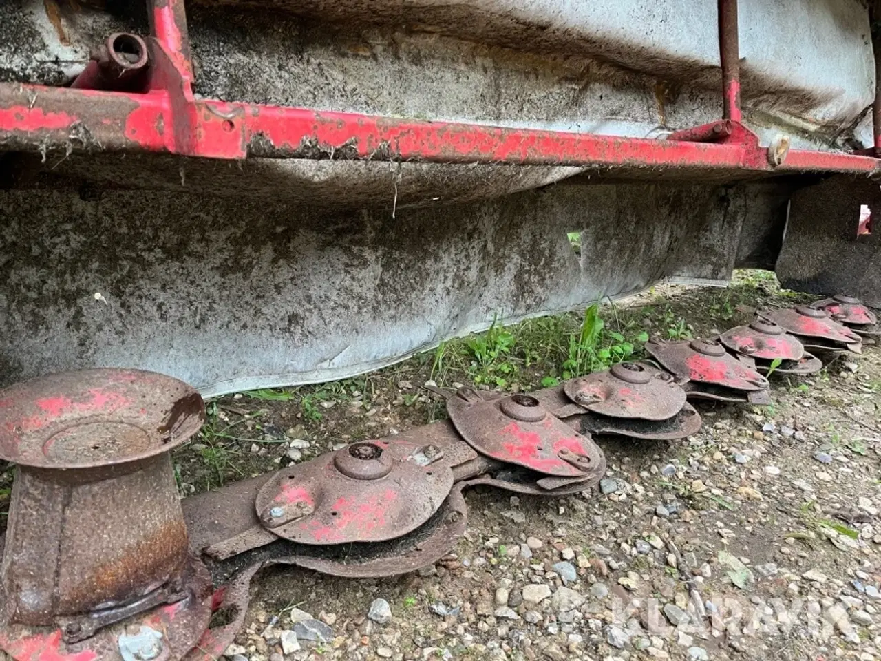 Billede 12 - Skålægger LELY 320 L