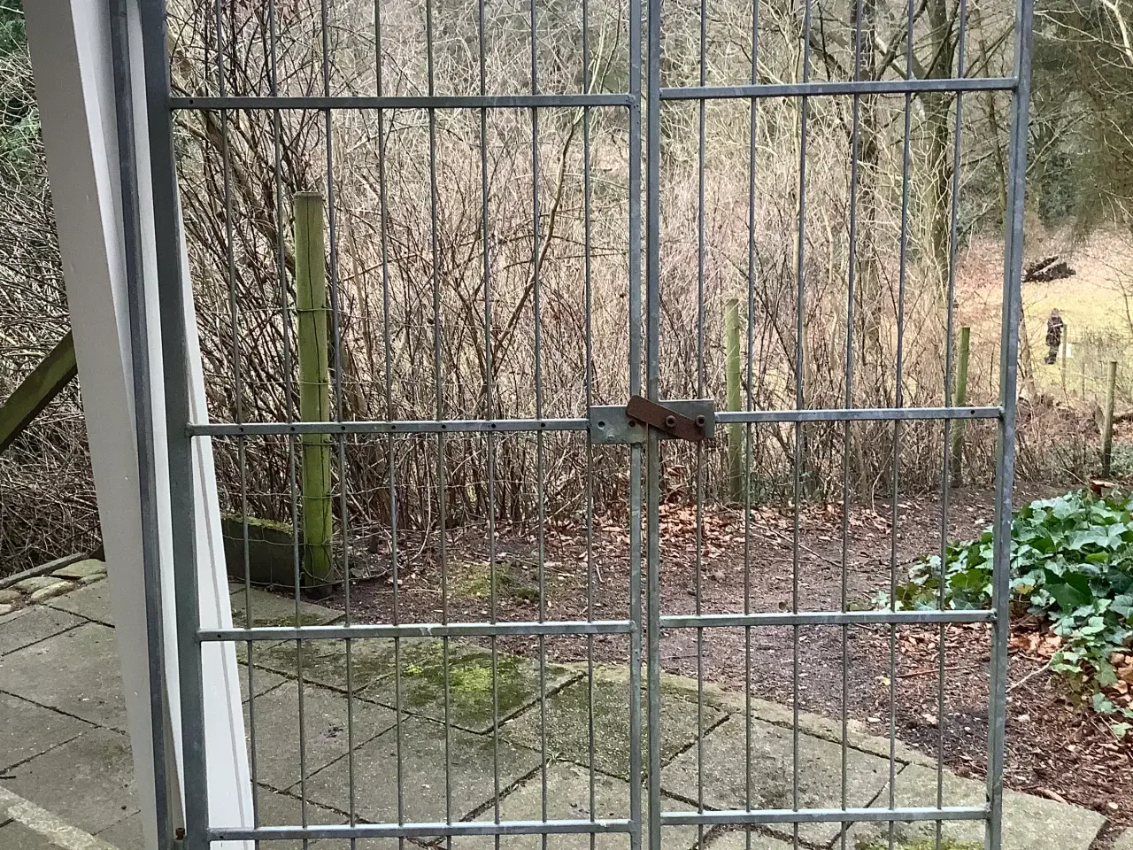 Billede 3 - Hundegård til udvendig brug