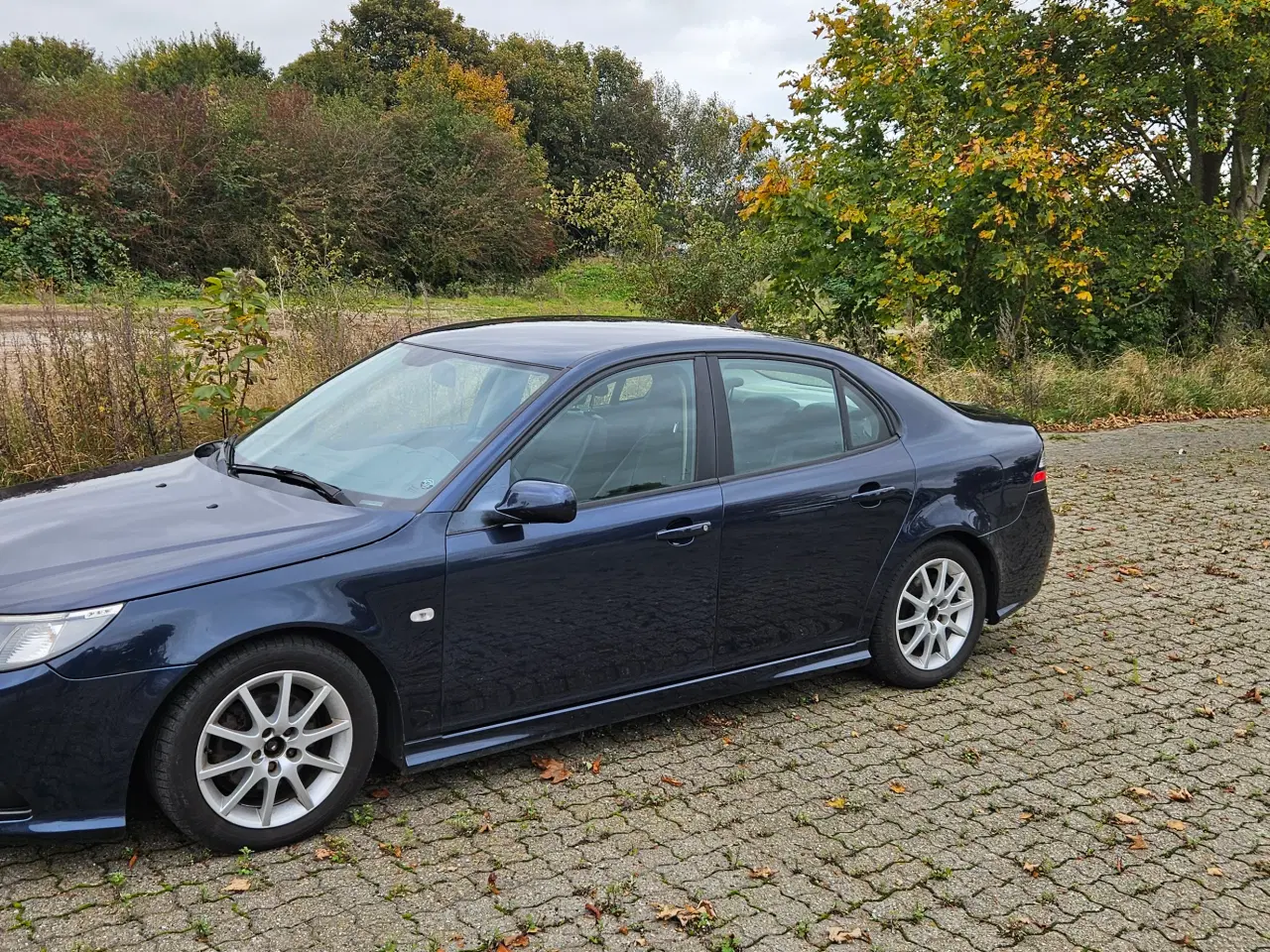 Billede 2 - Saab 9-3 1,8t BioPower