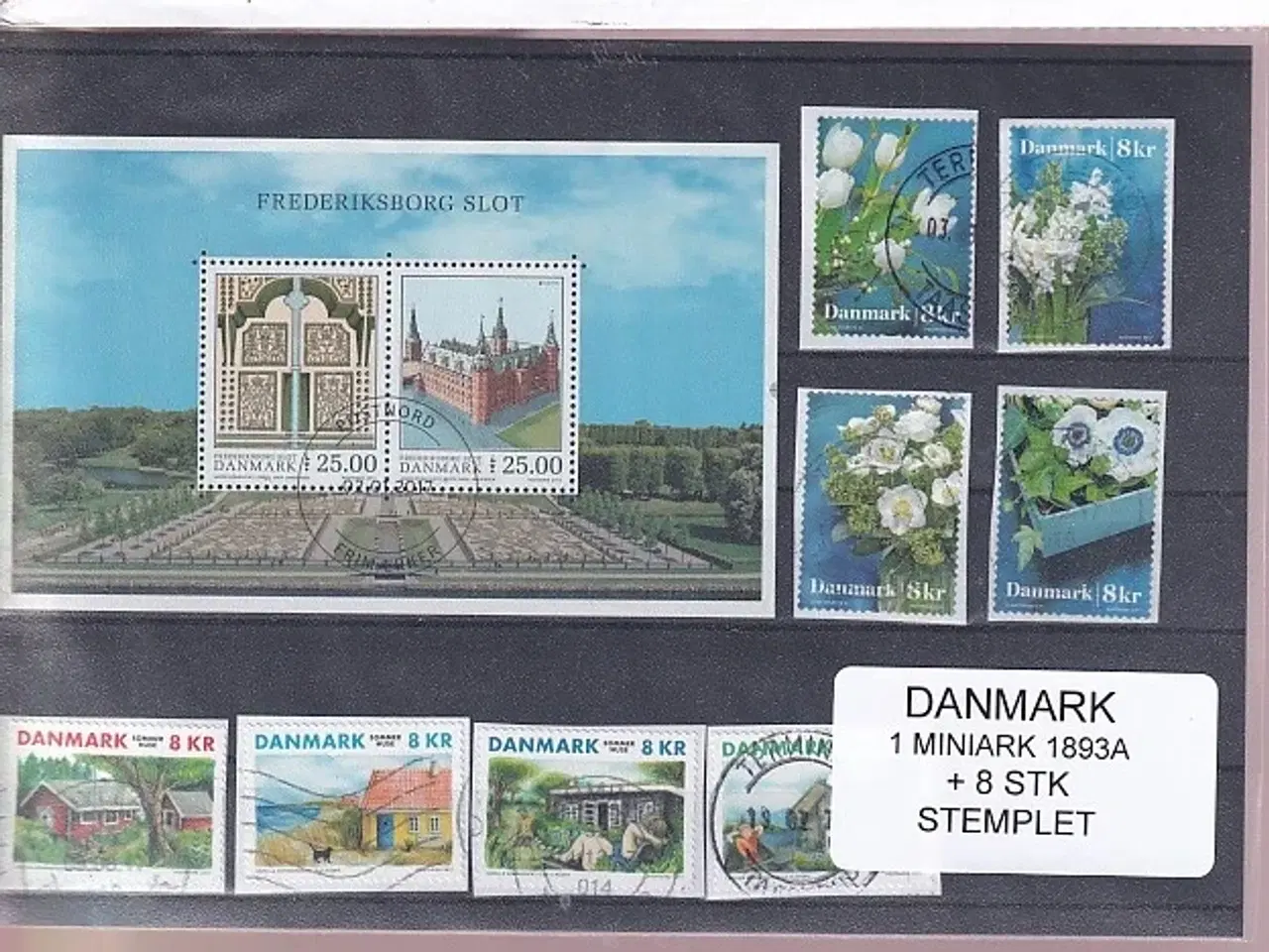 Billede 1 - Danmark - Miniark 1893 A  + enkeltmærker - Stemplet