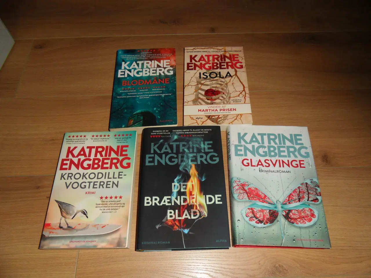 Billede 1 - Katrine Engberg. Krokodillevogteren. Isola. Glasvi