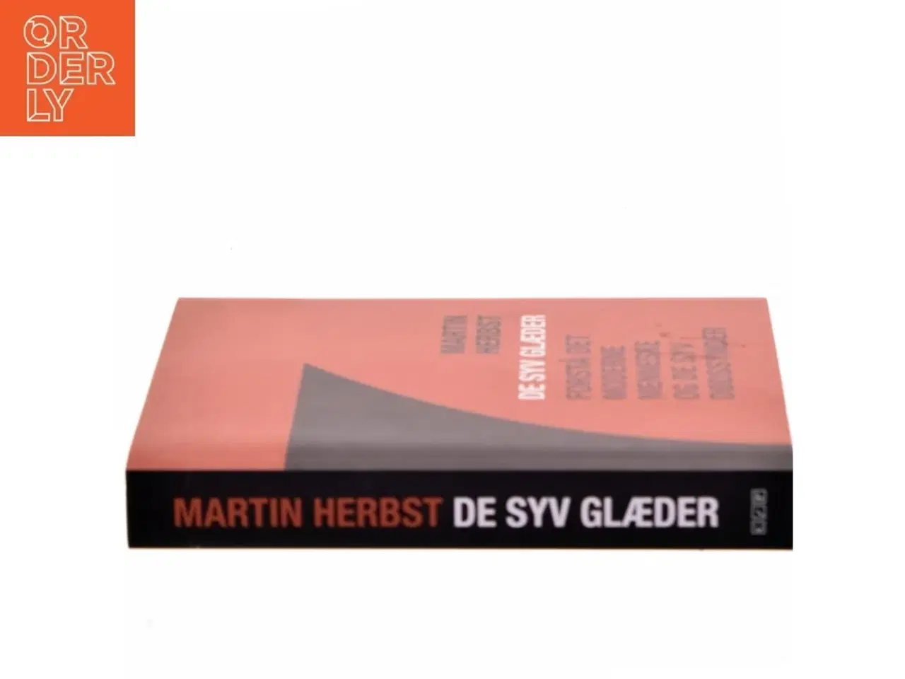Billede 2 - De syv glæder : forstå det moderne menneske og de syv dødssynder af Martin Herbst (Bog)