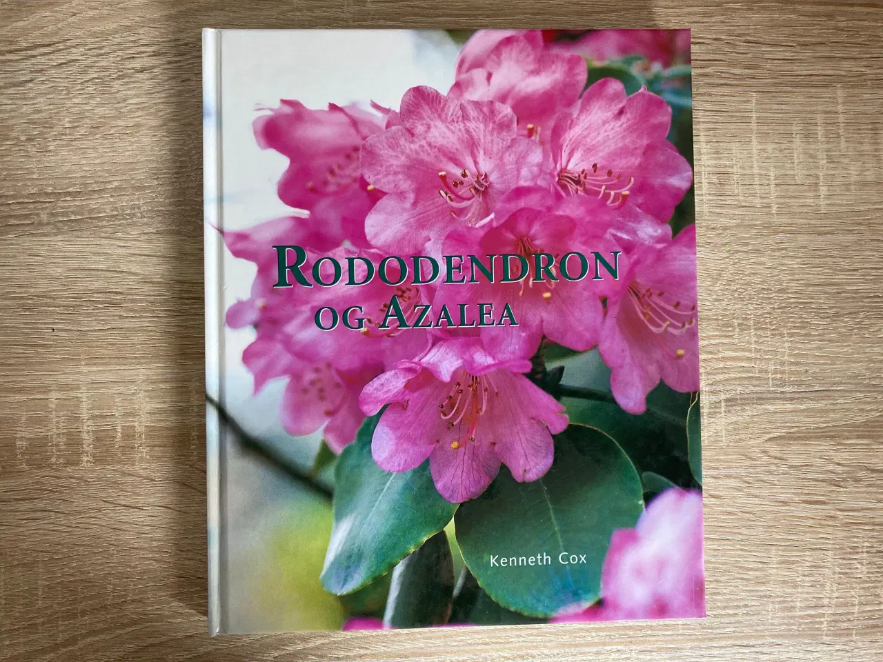 Billede 1 - Kenneth Cox: Rododendron og Azalea