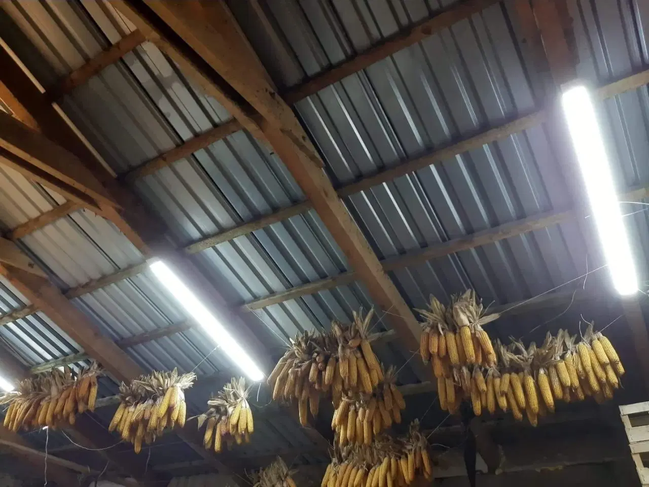 Billede 4 - Ny lamper 36W 6500K 120cm 