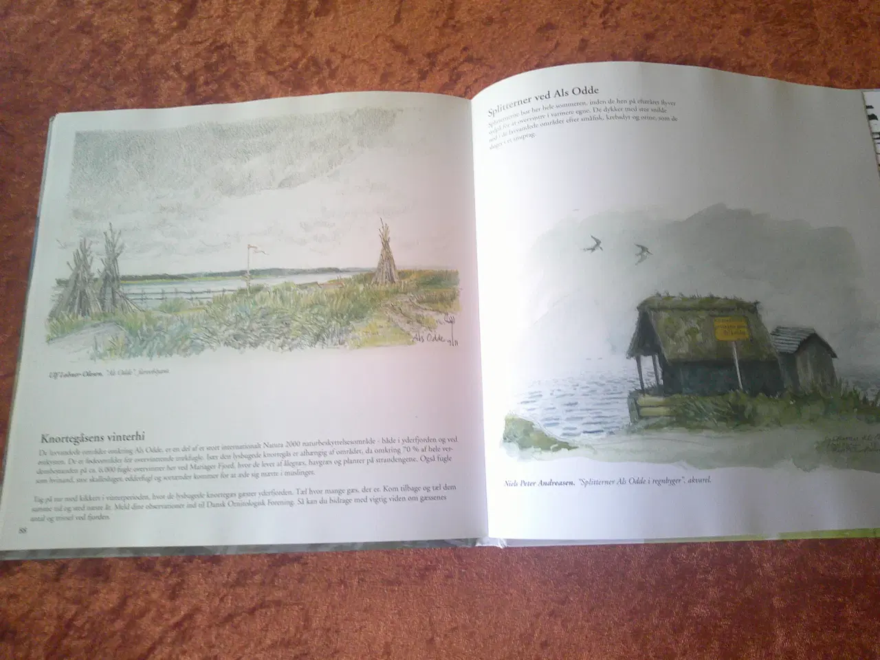 Billede 4 - Mariager Fjords natur,Anders Horsten, Inger Taylor