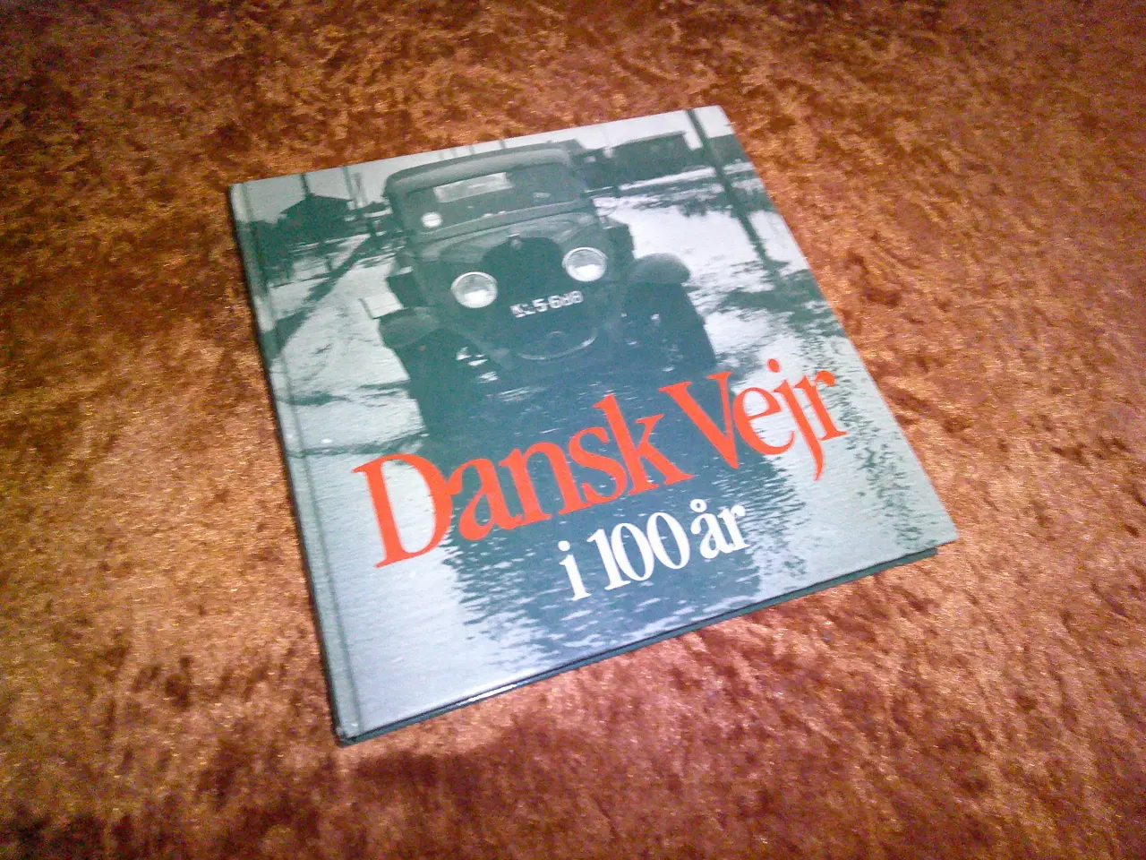 Billede 1 - Dansk vejr i 100 år i tekst og billeder