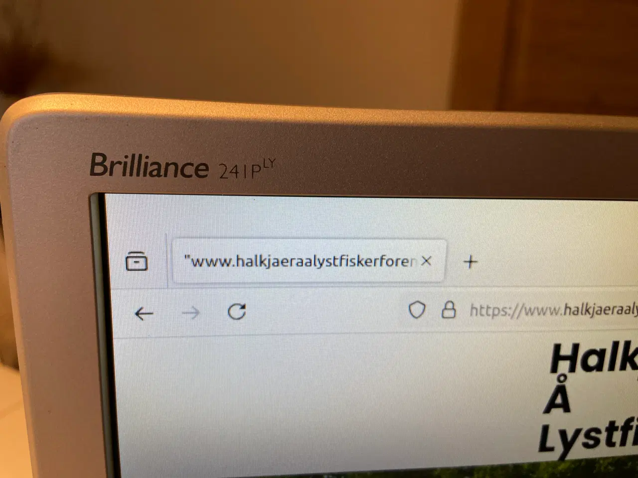 Billede 3 - Philips Brilliance 24 tommer skærm