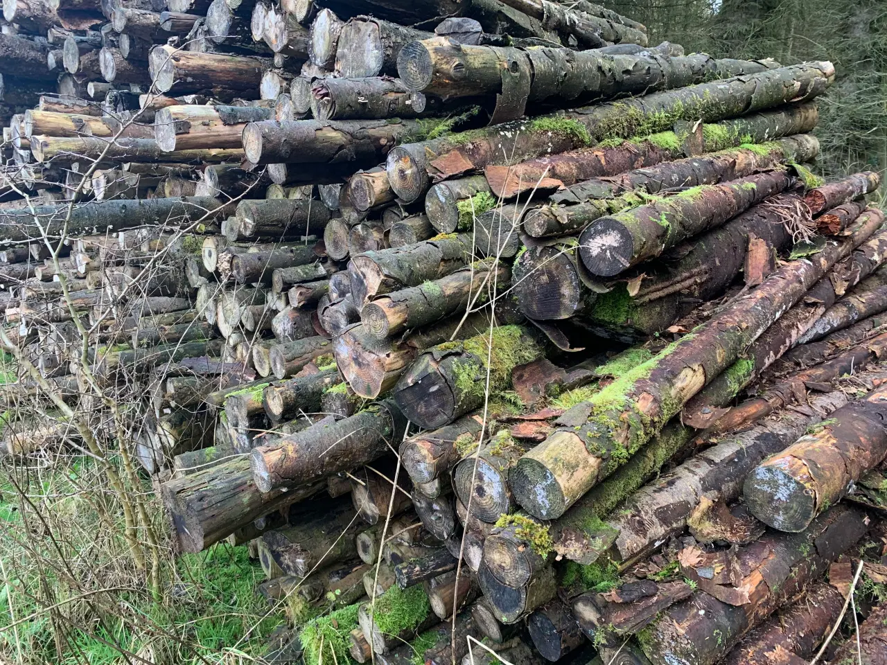 Billede 2 - Brændestak