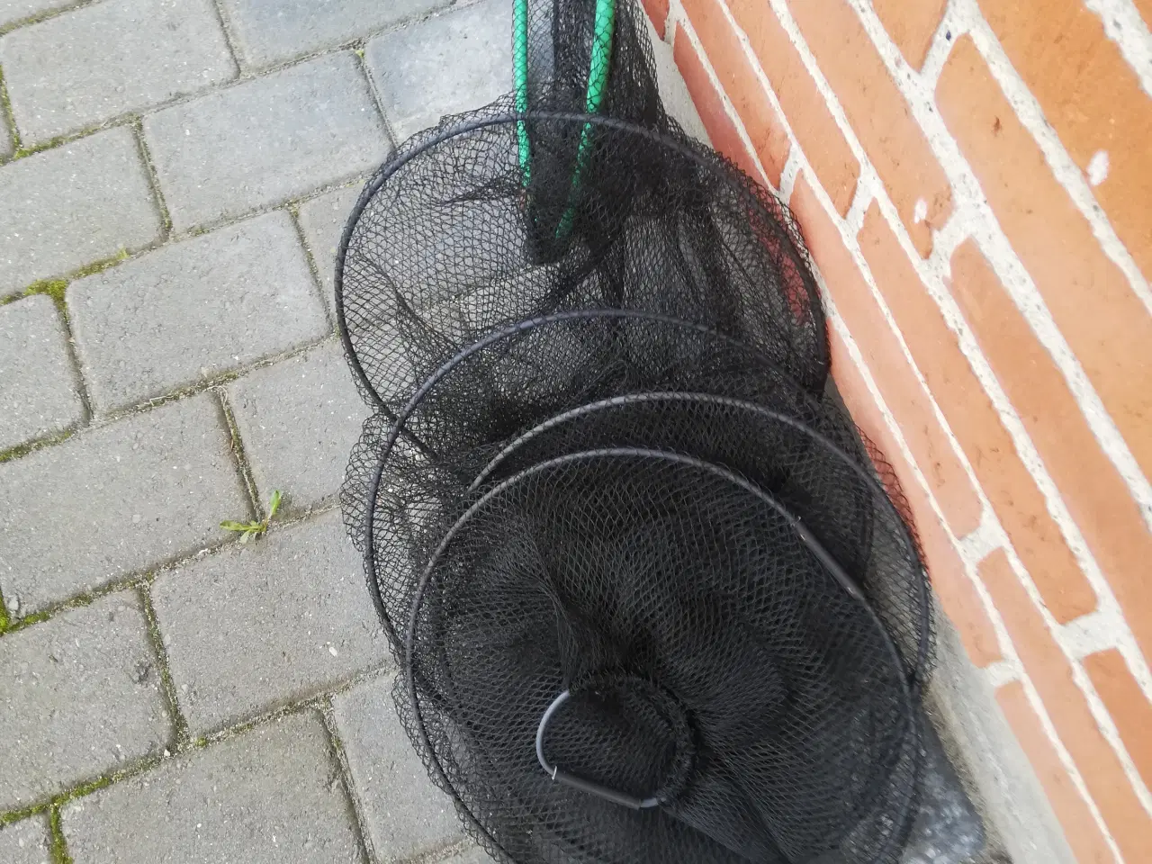 Billede 3 - Opbevaring af Fisk