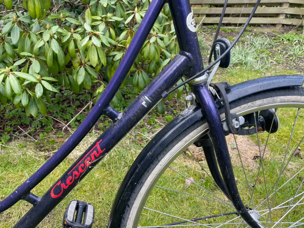 Billede 2 - Crescent damecykel med 3 Shimano gear