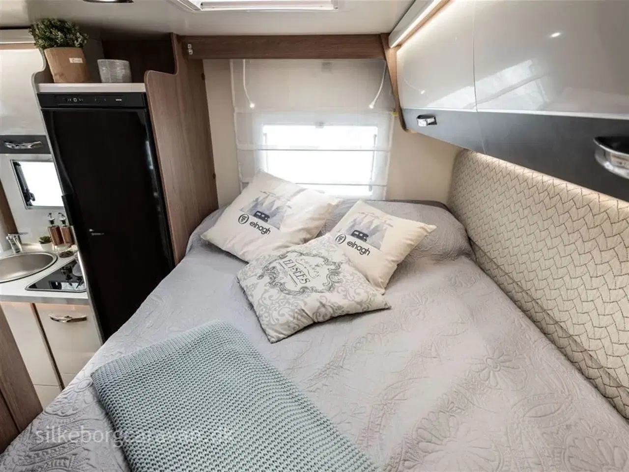 Billede 16 - 2026 - Elnagh Baron 531