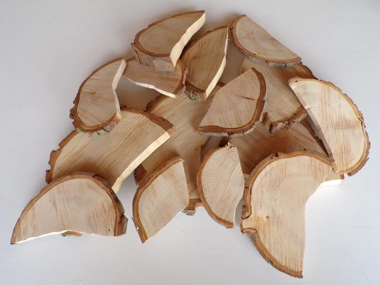 Billede 4 - Halve thuja skiver 20 stk. ass.