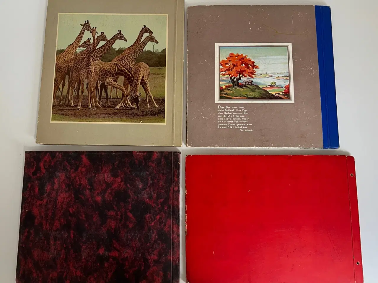 Billede 2 - 4 Rich’s Samlealbum fra 1930’ & 50’erne