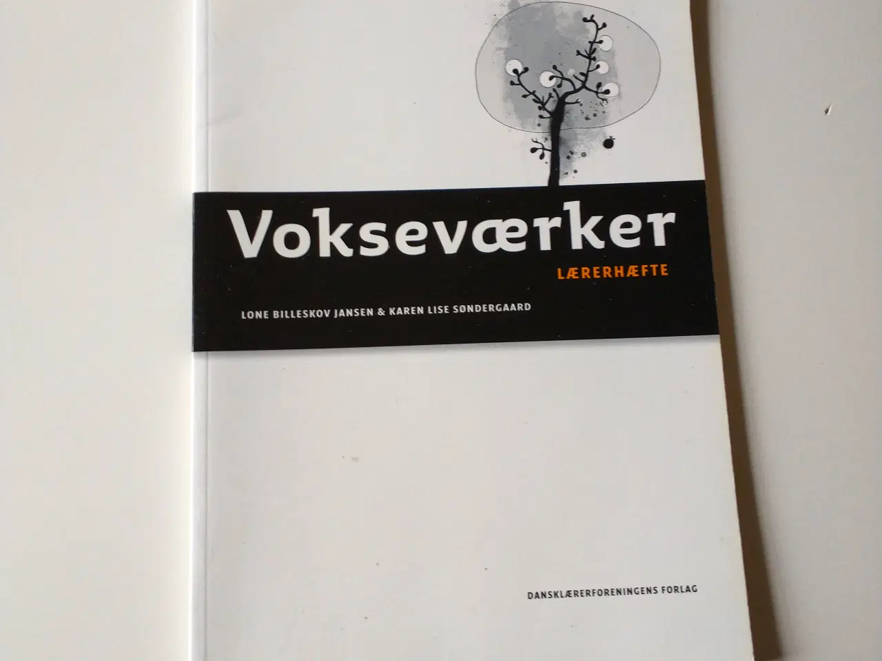 Billede 1 - Vokseværker. Ungdomslitteraturhistorie. Lærerhæfte