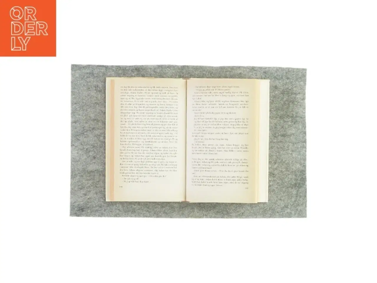 Billede 3 - En fugl foruden vinger af Charlotte Strandgaard (bog)