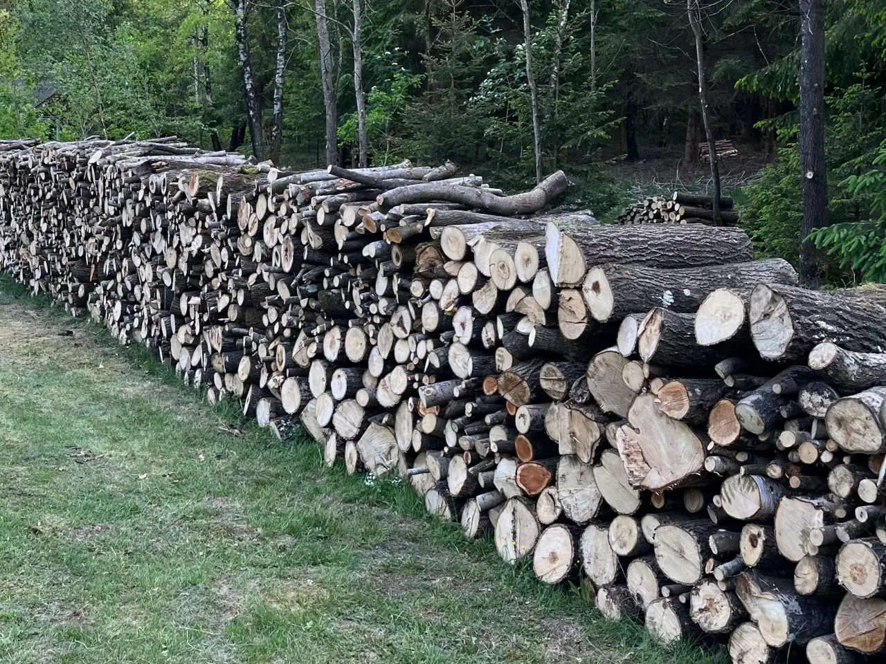 Billede 1 - Container m. 20 skovrummeter løvtræ inkl. levering