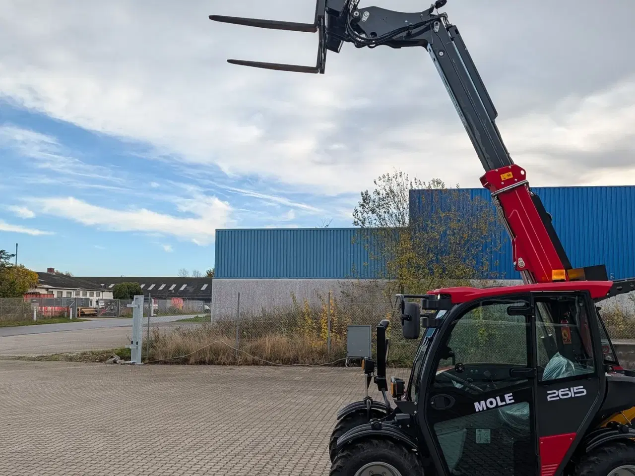 Billede 18 - MOLE 2615