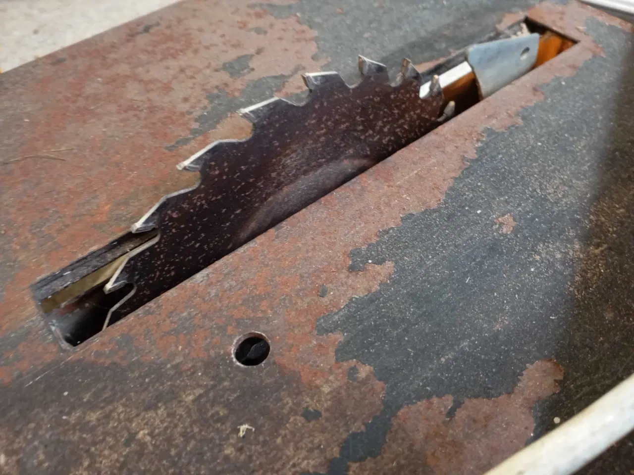 Billede 5 - Bordrundsav. 