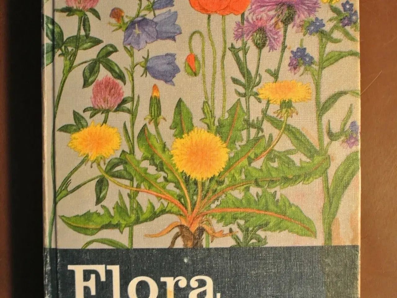 Billede 1 - flora i farver, af m. skytte christiansen. ill. af