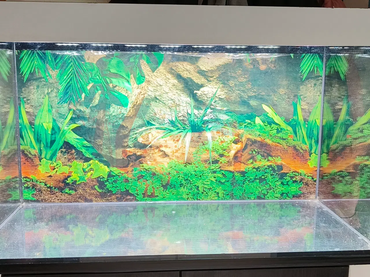 Billede 5 - 120 liters akvarie med udstyr 