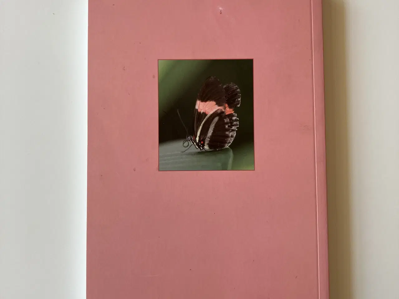 Billede 12 - Poesi - forår. Årgang 2009