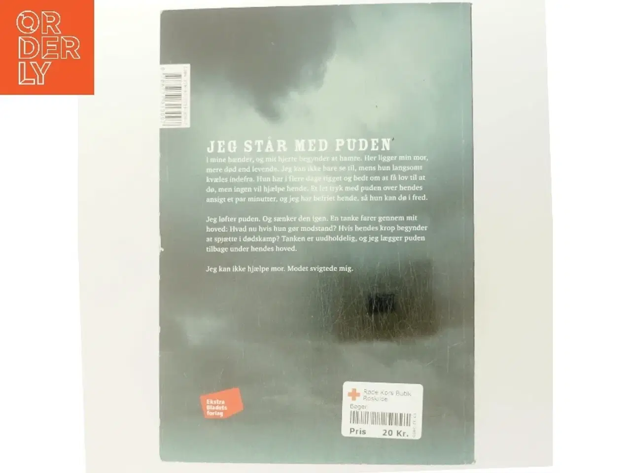 Billede 3 - Himmelmor af Lise-Lotte Norup (Bog)