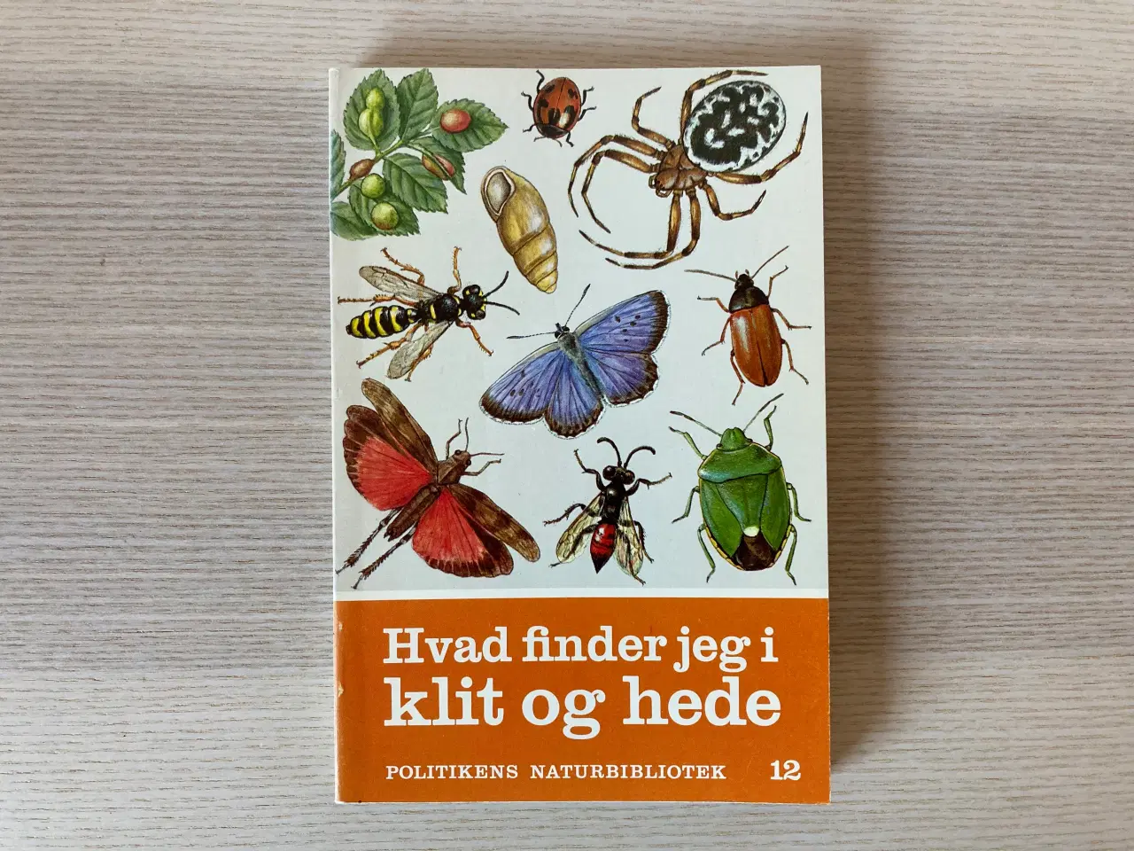 Billede 1 - Hvad finder jeg i klit og hede - Leif Lyneborg