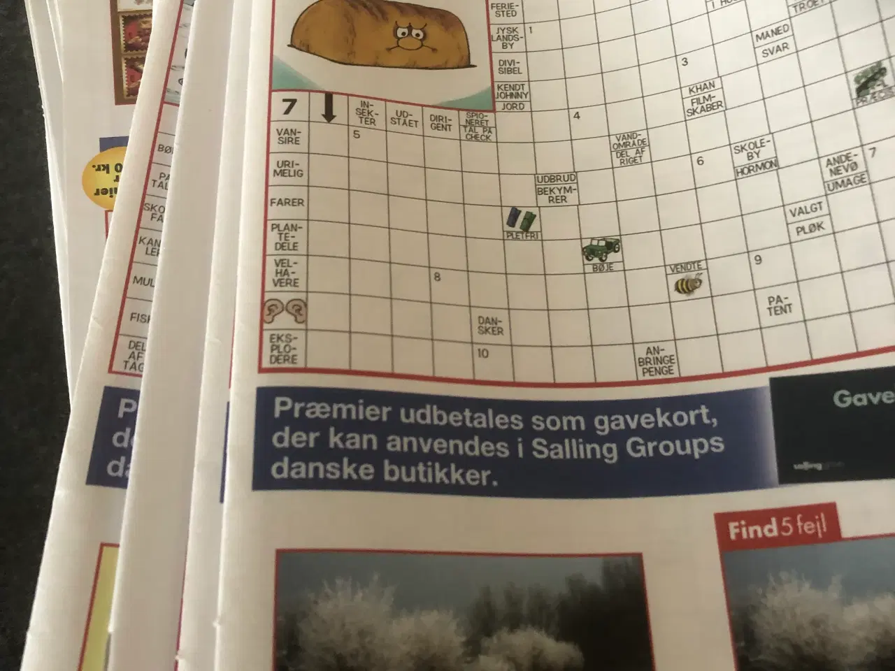 Billede 1 - Kryds og tværs