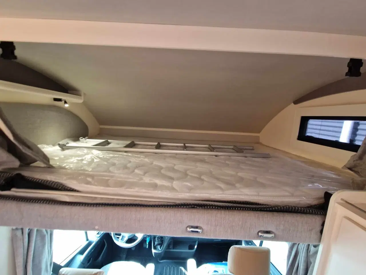 Billede 13 - 2025 - Ahorn Canada AD