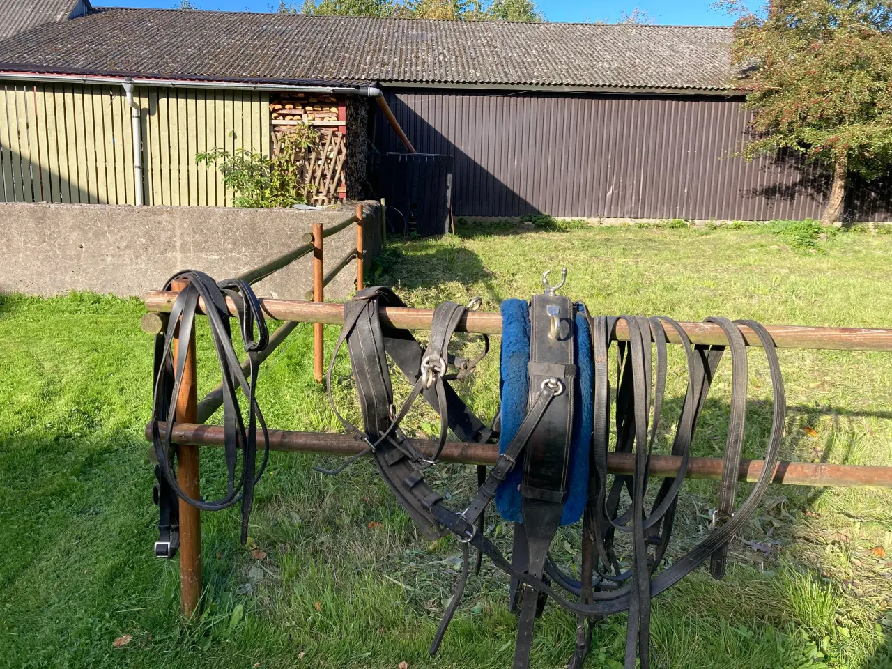 Billede 2 - Køresele